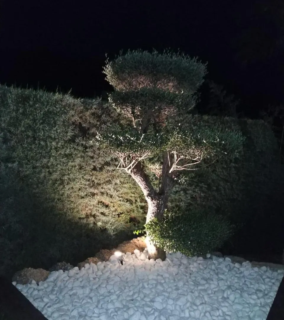 Casa Rural Los Cascajales Benaojan